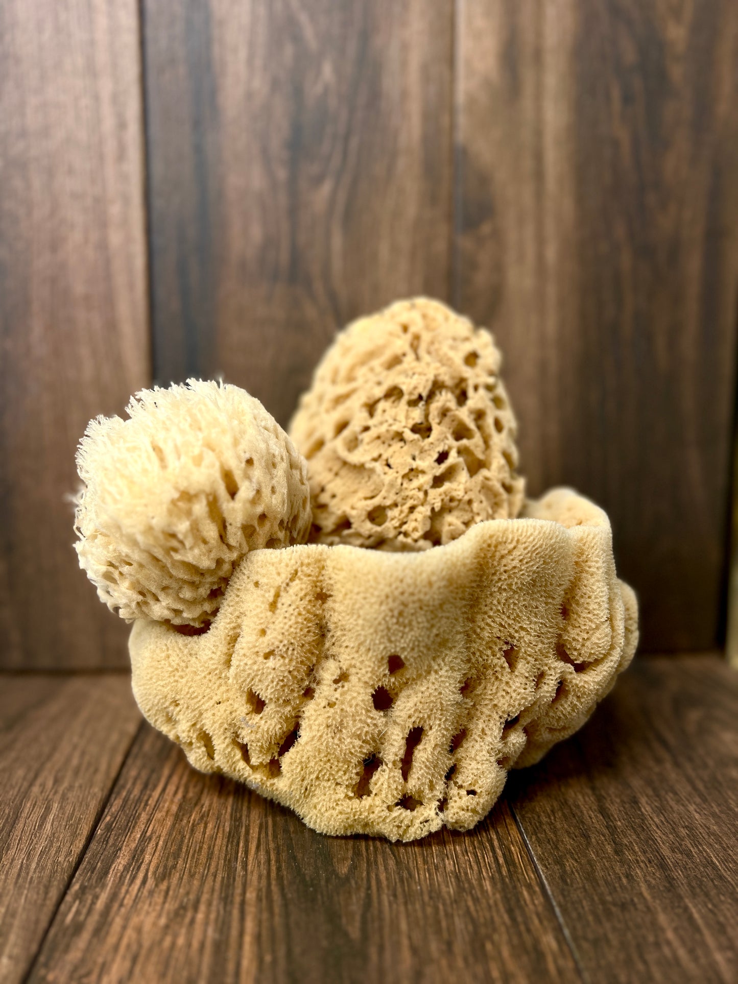 Natural Sea Sponge