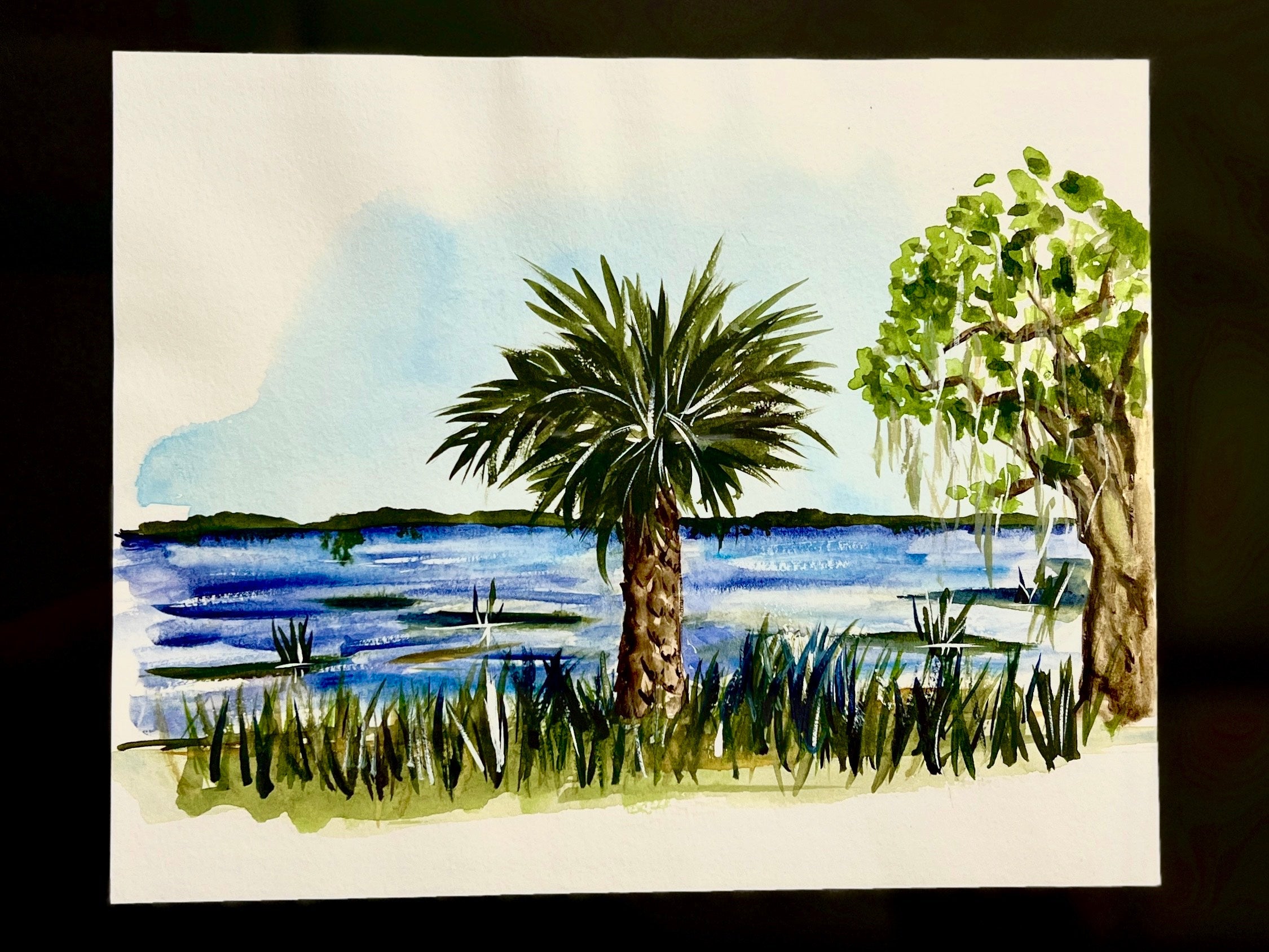 Watercolor Palmetto Collection
