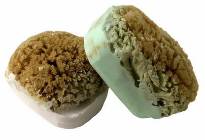 Goat's Milk Bar with Sea Sponge