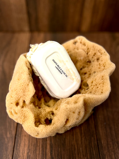 Goat's Milk Bar with Sea Sponge