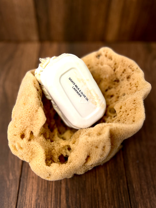 Goat's Milk Bar with Sea Sponge