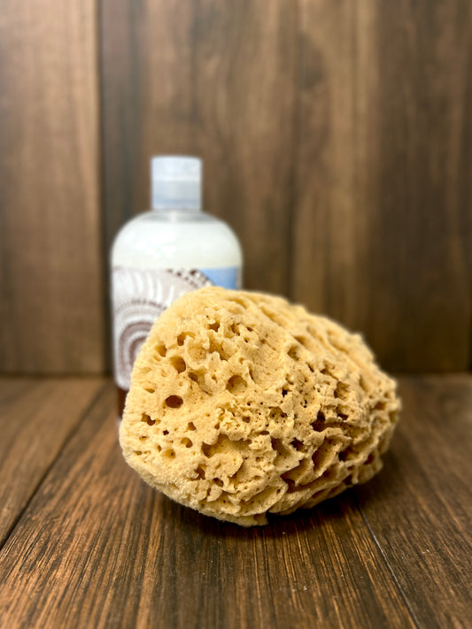 Natural Sea Sponge